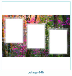 Collagen-Bilderrahmen 146