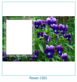 flower Photo frame 1501