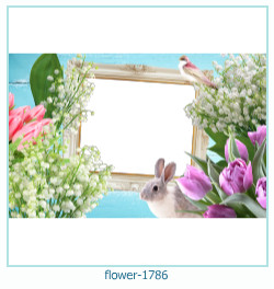 flower Photo frame 1786