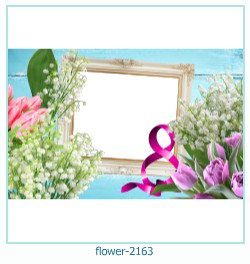 flower Photo frame 2163